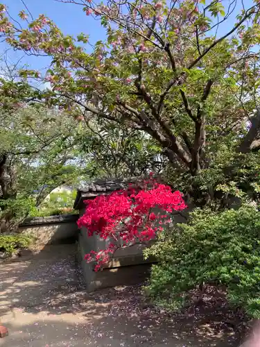 寶珠寺（宝珠寺）の庭園