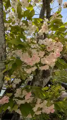 白峯神宮(京都府)