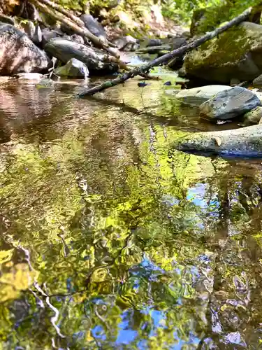 山家神社奥宮の自然