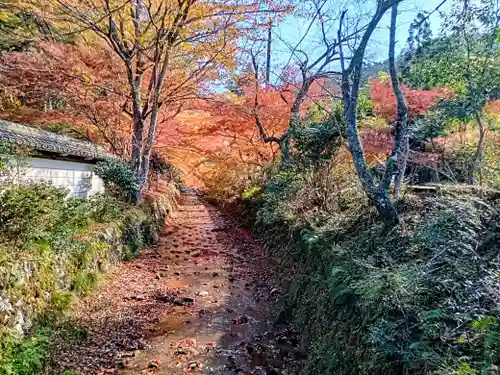 金剛院(京都府)