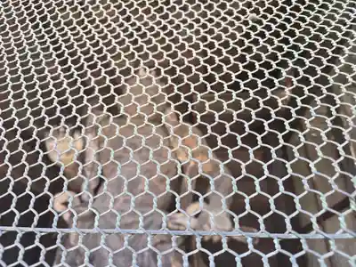 長谷寺(奈良県)