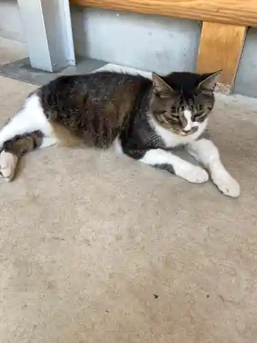 小坂子八幡神社(群馬県)