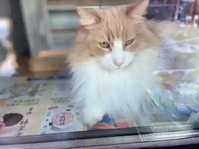 駒込妙義神社(東京都)