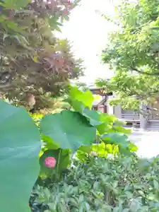 梅香寺(三重県)(2024年07月15日(月) 08時07分16秒投稿)