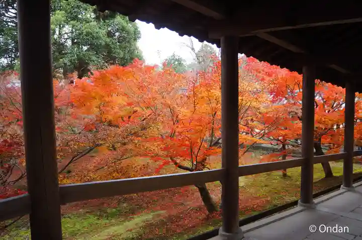 東福禅寺(東福寺)の自然