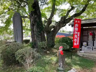 妙光院の{uncategorized: "未分類", other: "その他", undefined: "問題あり", building: "その他建物", grave: "お墓", sacred_gate: "鳥居", guardian: "狛犬", statue: "像", buddha: "仏像", history: "歴史", nature: "自然", garden: "庭園", animal: "動物", pagoda: "塔", temizu: "手水舎", mountain_gate: "山門・神門", sanctuary: "本殿・本堂", subordinate: "末社・摂社", art: "芸術", scenery: "景色", jizo: "地蔵", ema: "絵馬", goshuin: "御朱印", omikuji: "おみくじ", items: "授与品その他", amulet: "お守り", goshuincho: "御朱印帳", eats: "食事", festival: "お祭り", votive_dance: "神楽", shichigosan: "七五三参", wedding: "結婚式", experience: "体験その他", initially: "初詣", around: "周辺", anti_infection: "感染症対策"}