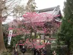 杉本寺(神奈川県)