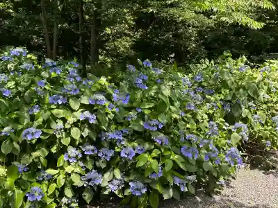 長野縣護國神社(長野県)