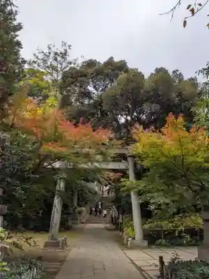 赤坂氷川神社(東京都)