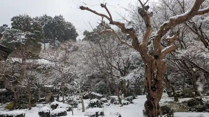 圓光寺(京都府)