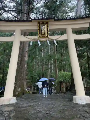 飛瀧神社（熊野那智大社別宮）の{uncategorized: "未分類", other: "その他", undefined: "問題あり", building: "その他建物", grave: "お墓", sacred_gate: "鳥居", guardian: "狛犬", statue: "像", buddha: "仏像", history: "歴史", nature: "自然", garden: "庭園", animal: "動物", pagoda: "塔", temizu: "手水舎", mountain_gate: "山門・神門", sanctuary: "本殿・本堂", subordinate: "末社・摂社", art: "芸術", scenery: "景色", jizo: "地蔵", ema: "絵馬", goshuin: "御朱印", omikuji: "おみくじ", items: "授与品その他", amulet: "お守り", goshuincho: "御朱印帳", eats: "食事", festival: "お祭り", votive_dance: "神楽", shichigosan: "七五三参", wedding: "結婚式", experience: "体験その他", initially: "初詣", around: "周辺", anti_infection: "感染症対策"}