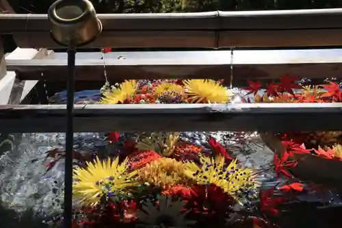 豊景神社の手水