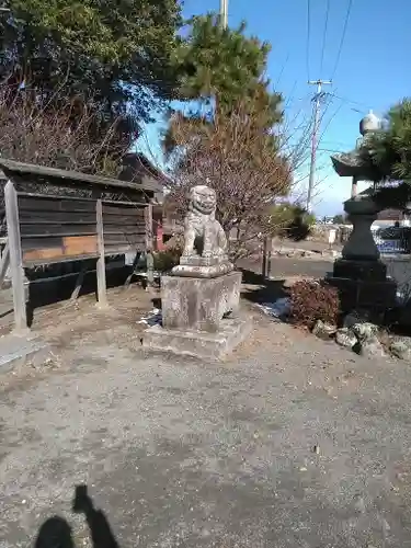 中津神社の狛犬