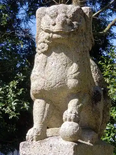 小杉神社の狛犬