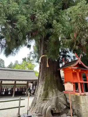 春日大社(奈良県)