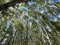 禰固岳神社の自然