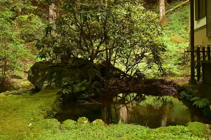 悲願寺(徳島県)