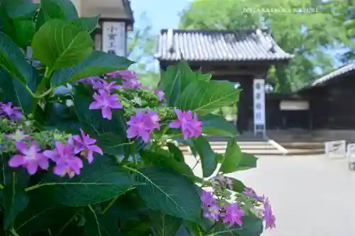 喜多院(埼玉県)