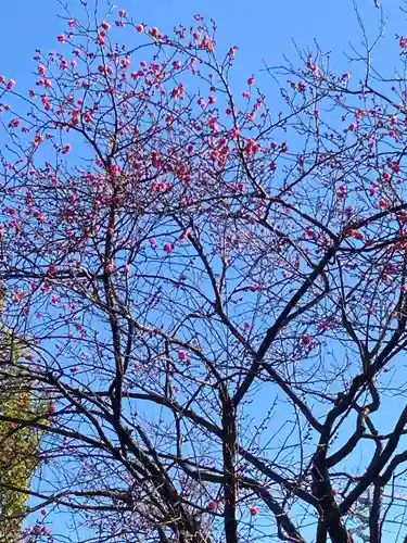 留魂祠（西郷隆盛碑）(東京都)