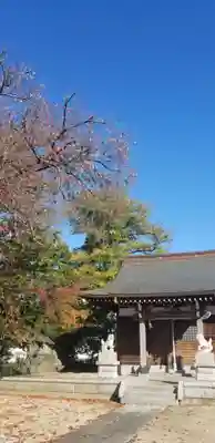 富足神社の本殿・本堂