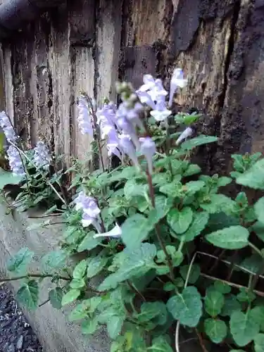 於三稲荷神社の庭園
