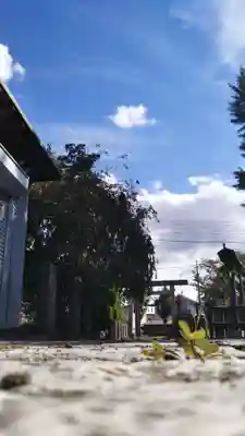諏訪神社の鳥居