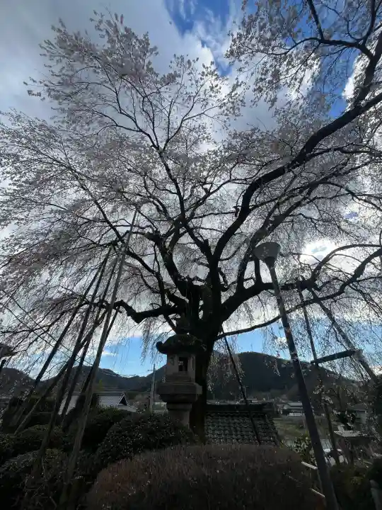 林陽寺の{uncategorized: "未分類", other: "その他", undefined: "問題あり", building: "その他建物", grave: "お墓", sacred_gate: "鳥居", guardian: "狛犬", statue: "像", buddha: "仏像", history: "歴史", nature: "自然", garden: "庭園", animal: "動物", pagoda: "塔", temizu: "手水舎", mountain_gate: "山門・神門", sanctuary: "本殿・本堂", subordinate: "末社・摂社", art: "芸術", scenery: "景色", jizo: "地蔵", ema: "絵馬", goshuin: "御朱印", omikuji: "おみくじ", items: "授与品その他", amulet: "お守り", goshuincho: "御朱印帳", eats: "食事", festival: "お祭り", votive_dance: "神楽", shichigosan: "七五三参", wedding: "結婚式", experience: "体験その他", initially: "初詣", around: "周辺", anti_infection: "感染症対策"}