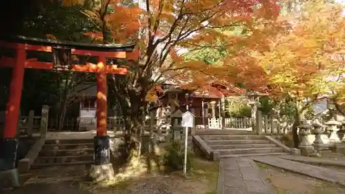 竹中稲荷神社（吉田神社末社）の景色