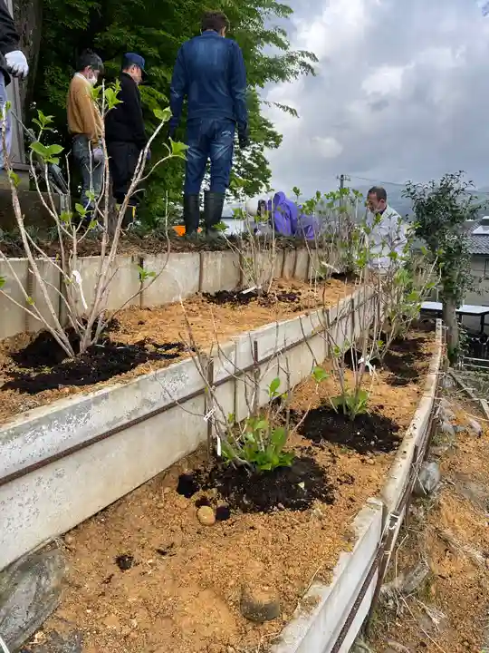 飯部磐座神社(福井県)