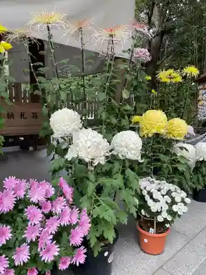 阿佐ヶ谷神明宮(東京都)