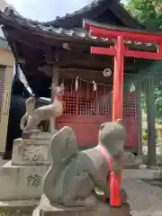 田中稲荷神社の狛犬