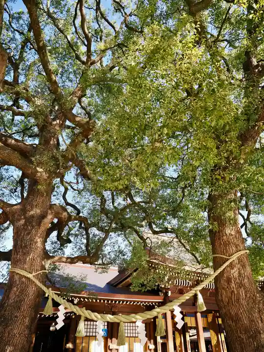 明治神宮(東京都)