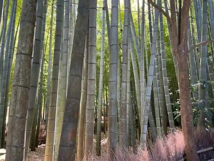 報国寺(神奈川県)