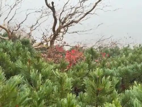 信州駒ヶ岳神社(長野県)