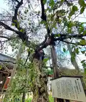 愛蔵寺(福島県)