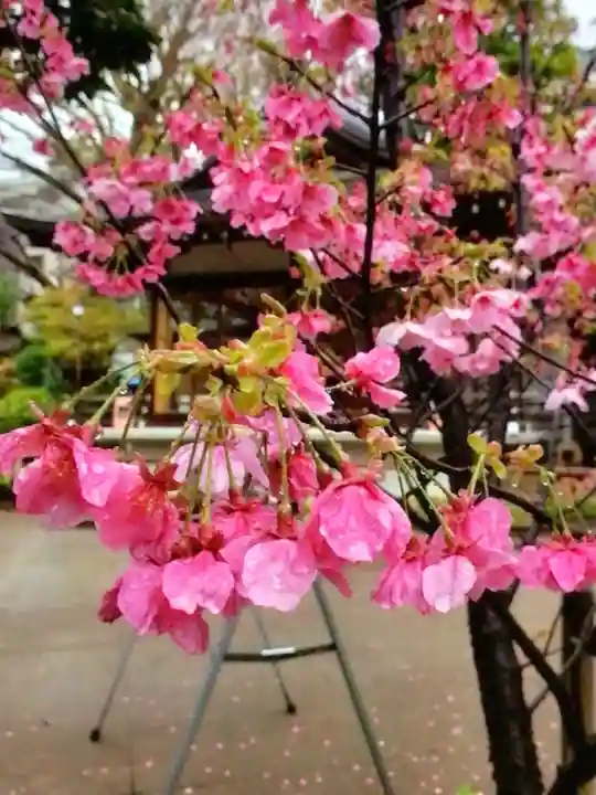 鳩森八幡神社(東京都)