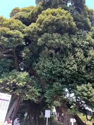 九重神社(埼玉県)