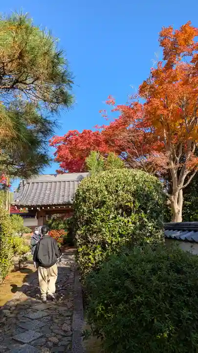 源光庵(京都府)