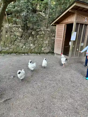 石上神宮(奈良県)