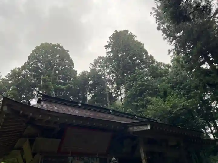 大宮温泉神社(栃木県)