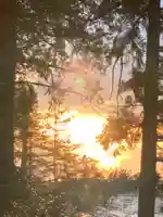 豊景神社の自然