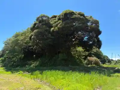 飯綱神社(千葉県)