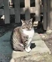 阿邪訶根神社(福島県)