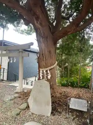 玉前神社(千葉県)