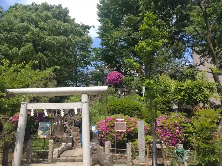 鳩森八幡神社の鳥居