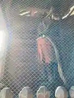 上野国一社八幡八幡宮(群馬県)