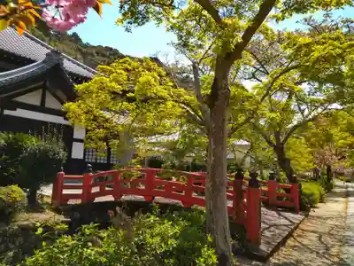 金剛寺(大阪府)