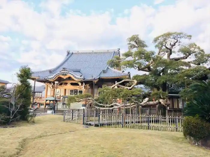 圓鏡寺の本殿