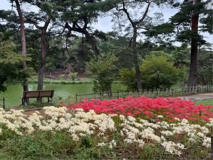 埼玉縣護國神社(埼玉県)