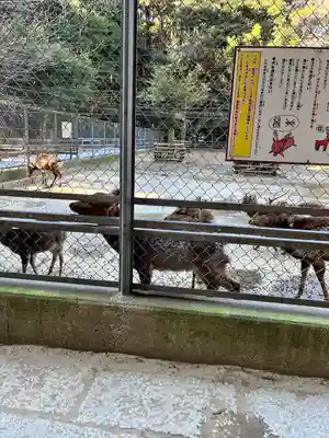 鹿島神宮(茨城県)
